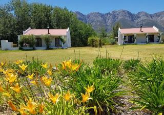 Fraaigelegen Farm - Home of ADHARA EVOO - 4