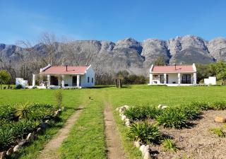 Fraaigelegen Farm - Home of ADHARA EVOO - 5