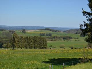 Spacious Chalet in Vielsalm with Garden - Vielsalm - 3