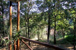 Old Pine Cabin Karkloof - Karkloof Nature Reserve - 5