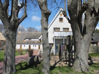 Traumwohnung mit Meerblick - Neu Reddevitz - 9