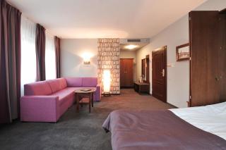 Hotel Młyn Aqua Spa - Elbląg - 2
