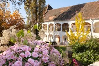 Schloss Welsdorf - Fürstenfeld - 8