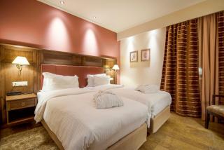 Selestina Boutique Hotel - Karpenisi - 2