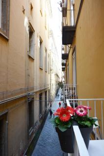 Domus Studio 25 bed & breakfast - Naples - 9