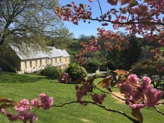 Le Clos Saint Jean - Sainte-Honorine-des-Pertes - 0