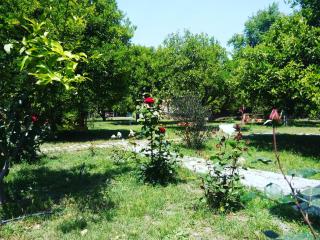Saklı Bahçe Pension - Cıralı - 5