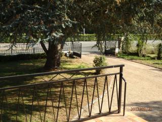 LA CHENOPE - Souesmes - 9