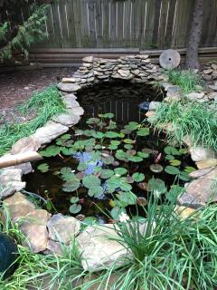 Magnolia House & Gardens B&B - 6