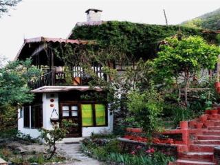 Jungle Lore Birding Lodge - 7