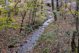 Moose Creek Lodge - 8