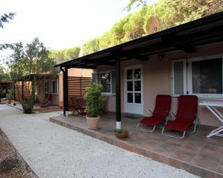 Bungalow comfort 100 m from the Beach - 6