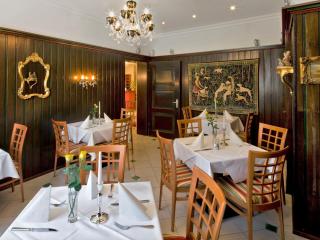 Hotel Linde - Donaueschingen - 1