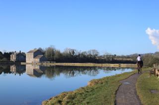 Carew Inn - Tenby - 7