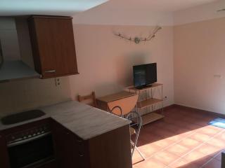 Apartamento planta baja acceso directo piscina - 7