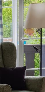 Pension Alpenhof - Bad Aussee - 2
