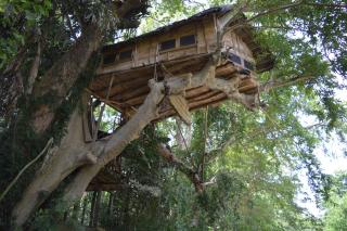 Kumbuk Tree House - Tissamaharama - 4