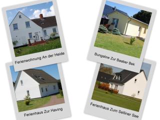 Ferienhaeuser Baaber Heide - Baabe - 0