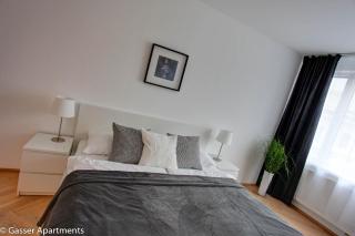 Gasser Apartments - Apartments Karlskirche - Wien - 5