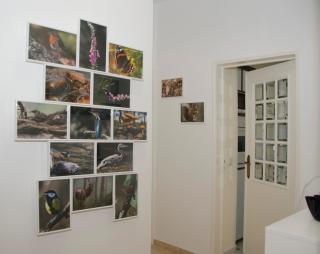 Casa do Relógio - Lousã - 2