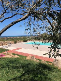 Agriturismo La Rocca Manna - San Teodoro - 1