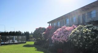 Cocusa Motel - Burlington - 6