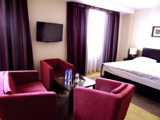 Qubus Hotel Bielsko-Biała - Bielsko-Biala - 2