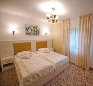 Pensiunea Ianis Piatra Neamt - Piatra Neamţ - 3