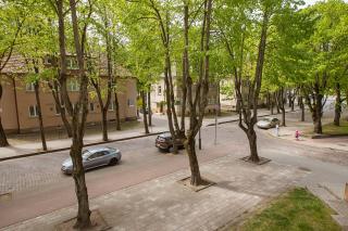 Dviejų kambarių butas Klaipėdos centre - 3