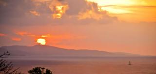 Mynt Retreat Bed & Breakfast - Montego Bay - 5