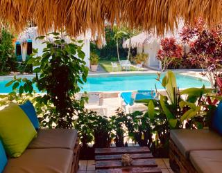 EverGreen Cabarete - Cabarete - 6