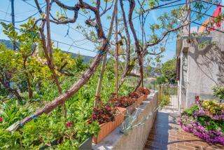 Apartman Corino - Veli Lošinj - 8