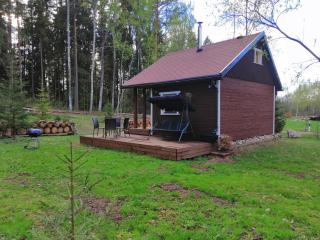 Ainja Puhkemaja - Viljandi - 9