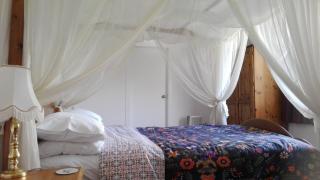Purple Hen Country Lodge - Katikati - 4