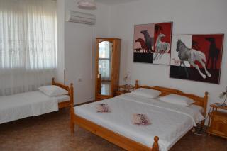 Guest House Orbita - Tyulenovo - 6