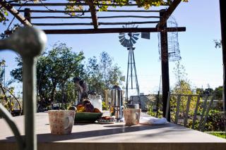 Olive Grove House - 0