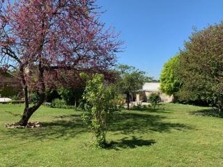 Le Clos Corbier - Mareuil-sur-Ay - 4