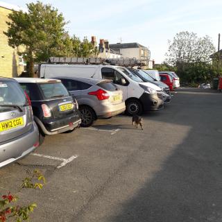 Dorset Hotel, Isle of Wight - 9