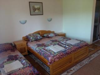 Guest House Friends - Emen - 1