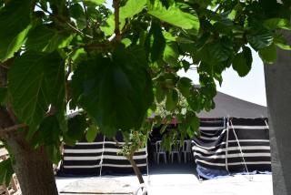 Khan Alsira - חאן אלסרה - 3