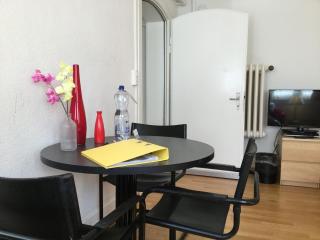 Garden Studio Apartment Zürichberg - Zurigo - 5