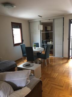 Zlatibor Apartman Pantic - 1