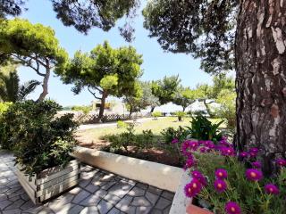 Silis Houses on the beach - Artemida - 5