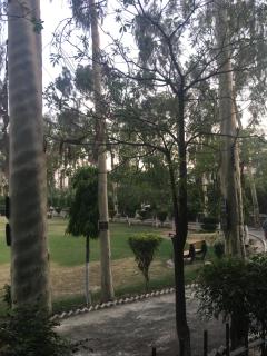 Spacious Apartment in Johar Town - Lahore - 3