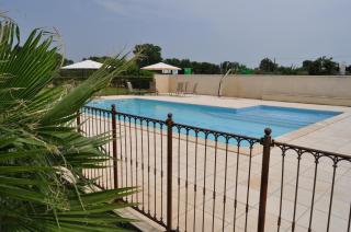 Les Mimosas - Lunel - 8