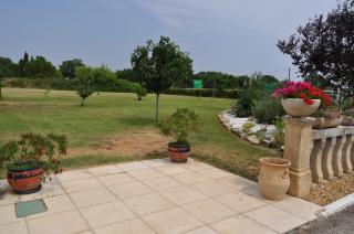 Les Mimosas - Lunel - 5