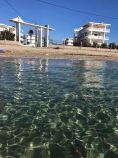 KORALI APPARTMENT BY THE SEA - Nea Plagia - 6