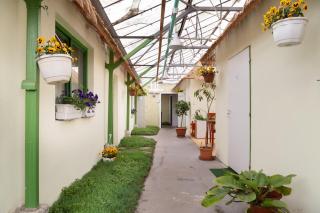 Rastlinky.sk Greenhouse Guestrooms - Bratislava - 1