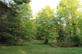 Linda Cabaña en Reserva HuiloHuilo - 6