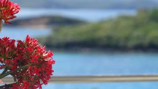 Hotel Queen Margaret Seaside - Ksamil - 1